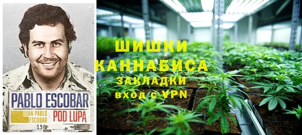 ГАЛЛЮЦИНОГЕННЫЕ ГРИБЫ Алексеевка
