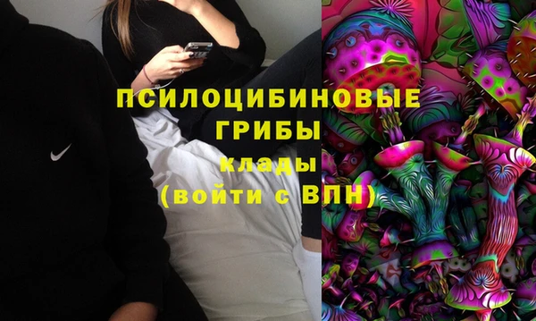 ГАЛЛЮЦИНОГЕННЫЕ ГРИБЫ Алексеевка