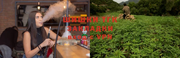 ГАЛЛЮЦИНОГЕННЫЕ ГРИБЫ Алексеевка